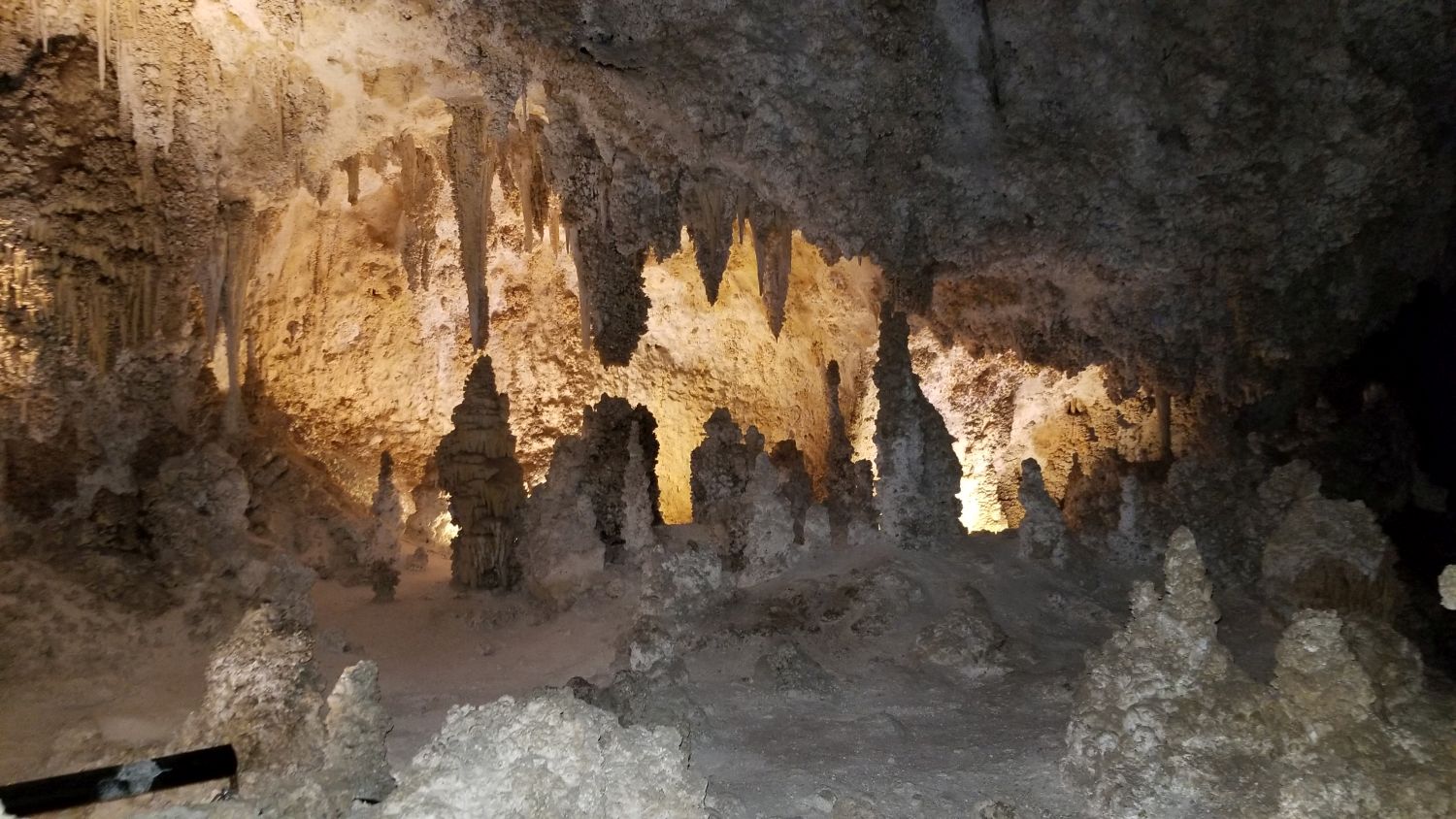 Carlsbad Caverns 